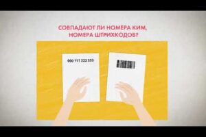 ЕГЭ-2020. Правила и процедуры